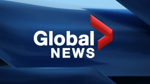 CBFY’s CEO on Global News for the Multicultural Fair